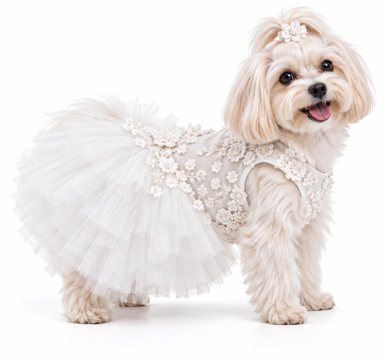 BLOSSOM Luxury Dog Wedding Dress | Maison Esendal — Maison Esendal