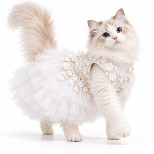 Cat wearing the BLOSSOM ivory floral wedding dress with layered tulle, on a white background.