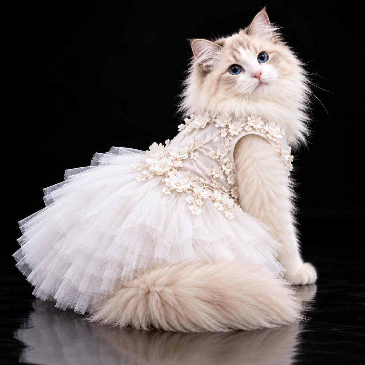 Cat wearing the BLOSSOM bridal dress, showing the floral bodice and tulle skirt against a black background.