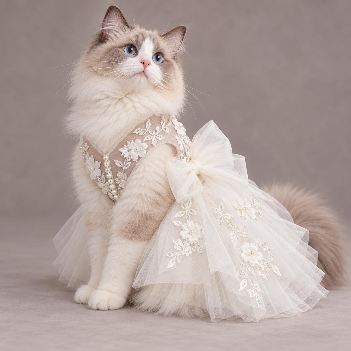 Light-haired cat wearing the MOON FLOWER ivory bridal dress against a taupe background