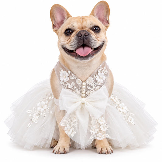 French bulldog wearing the MOON FLOWER floral bridal dress against a white background