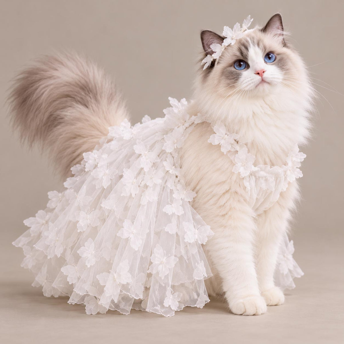 PAPILLON ivory cat wedding dress with layered tulle and delicate butterfly appliqués