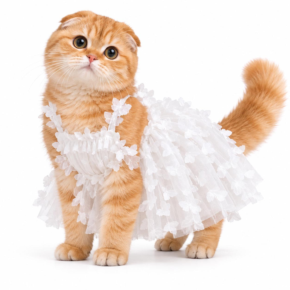 PAPILLON ivory cat wedding dress with layered tulle and delicate butterfly appliqués