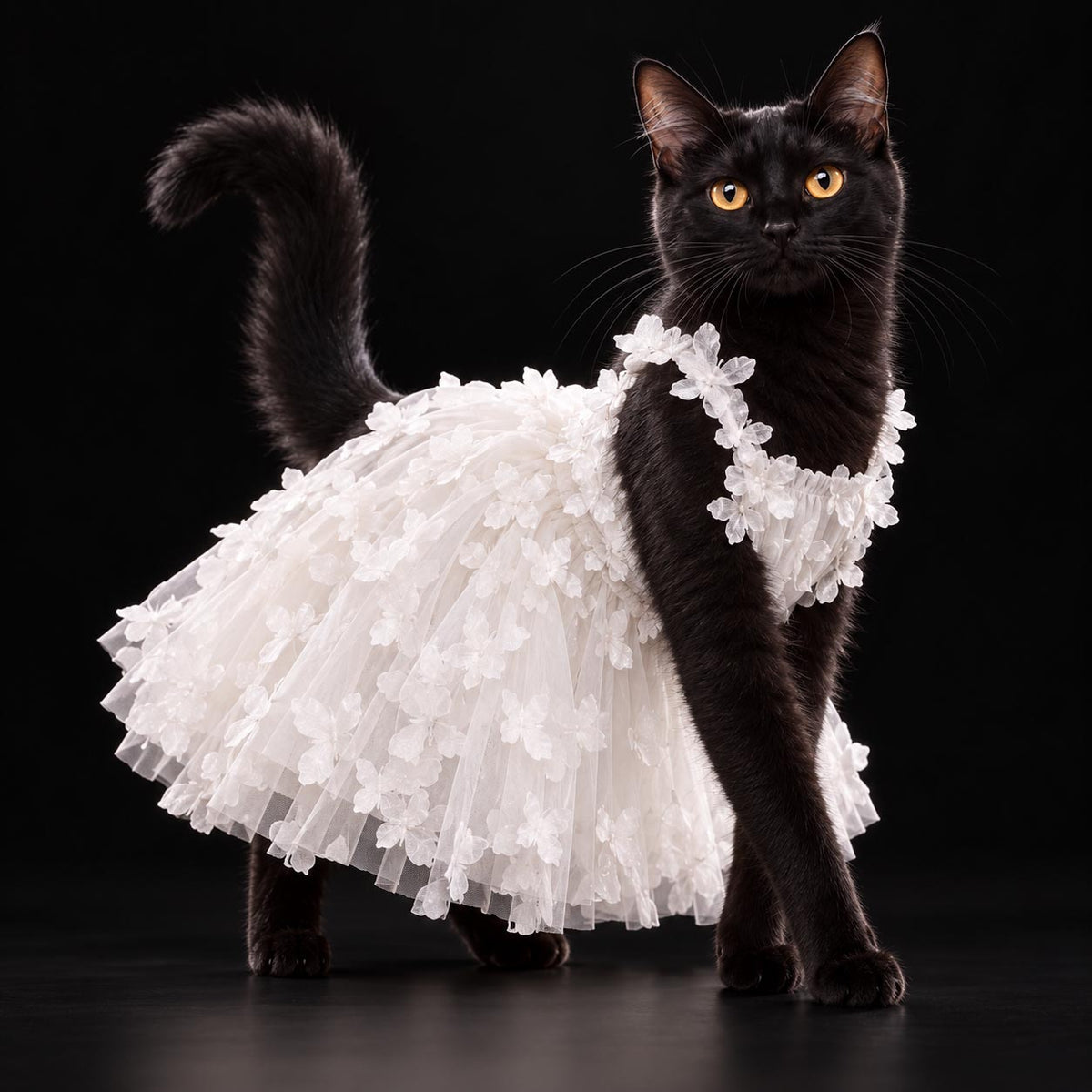 PAPILLON ivory cat wedding dress with layered tulle and delicate butterfly appliqués