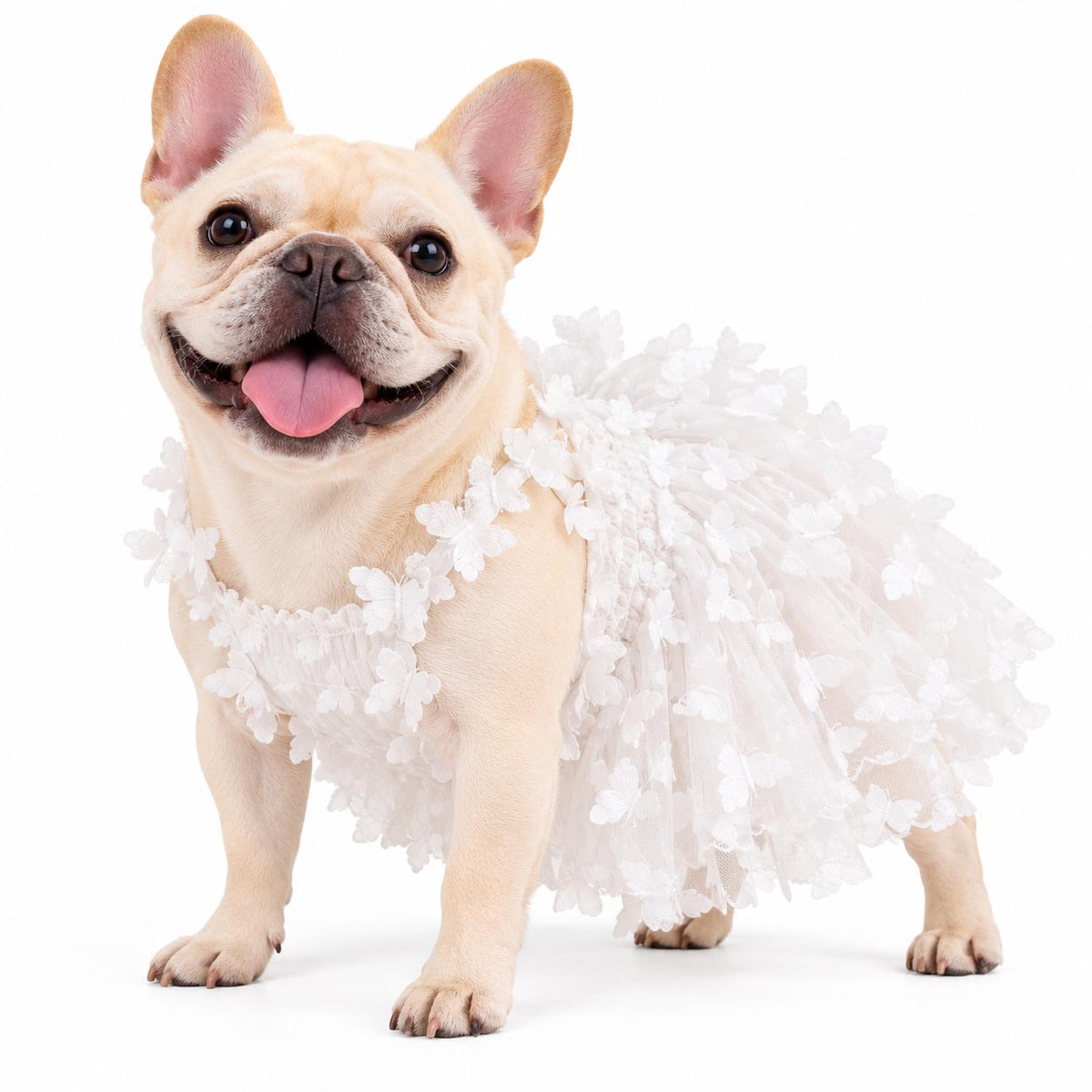PAPILLON ivory dog wedding dress with layered tulle and delicate butterfly appliqués