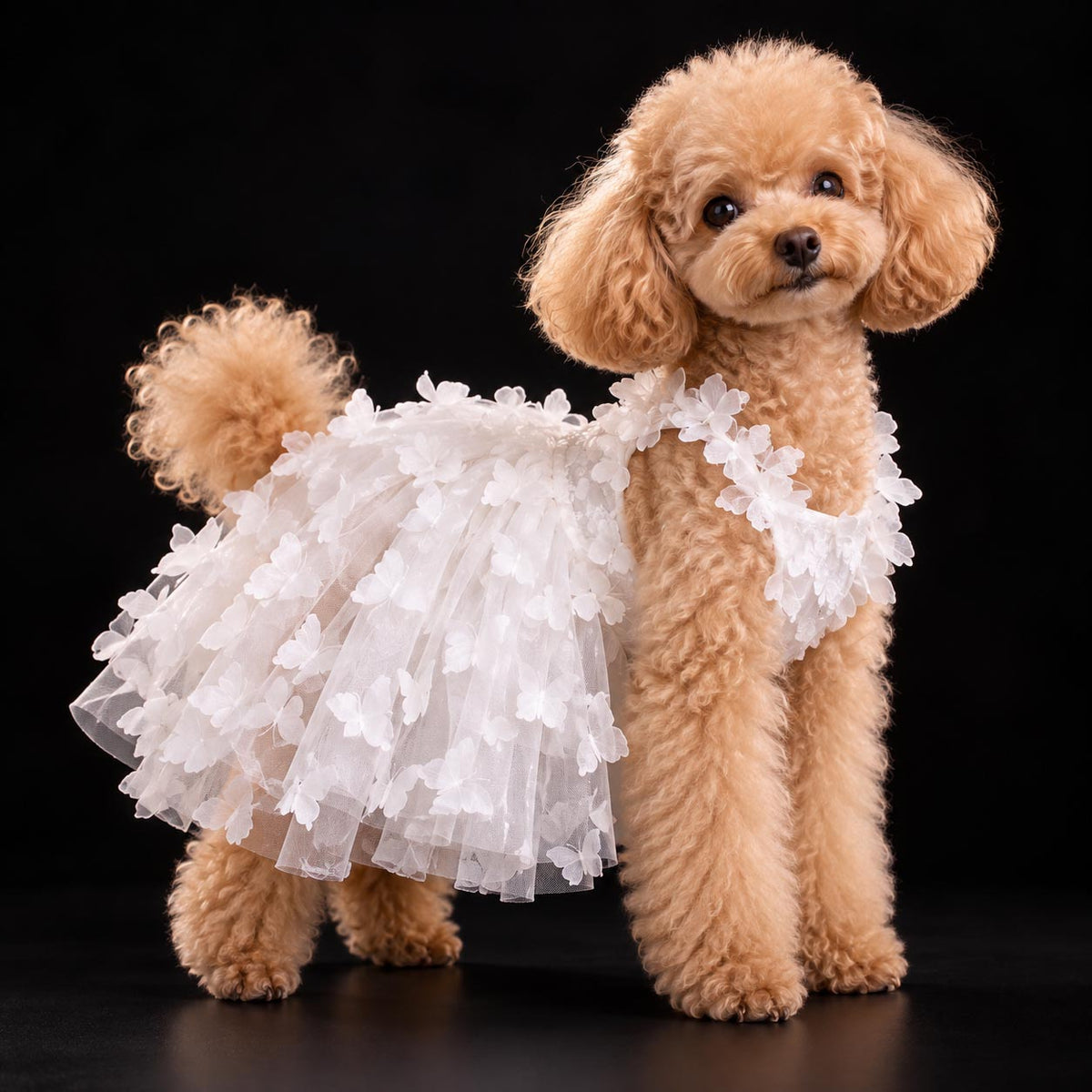 PAPILLON ivory dog wedding dress with layered tulle and delicate butterfly appliqués